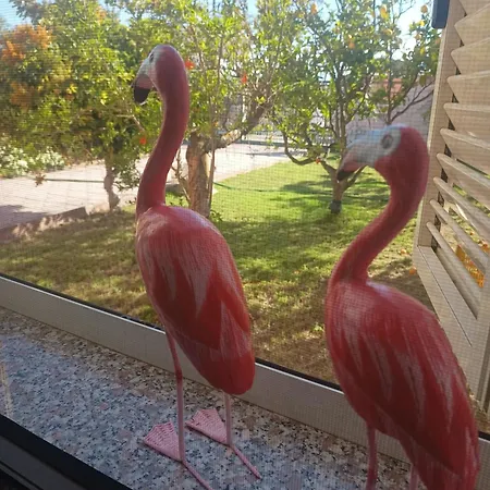 Casa Vacanza L'isola Dei Tesori * Quartu SantʼElena